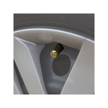 Load image into Gallery viewer, 2 Monkey 40 Cal Valve Stem Cover