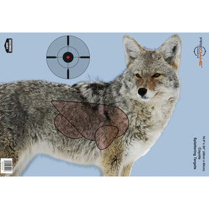 B-c Pregame Coyote Tgt 3-16.5x24