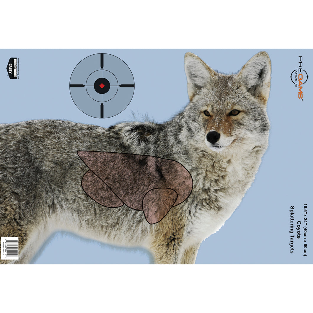 B-c Pregame Coyote Tgt 3-16.5x24