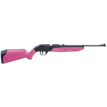 Load image into Gallery viewer, Crosman 760 Pumpmaster