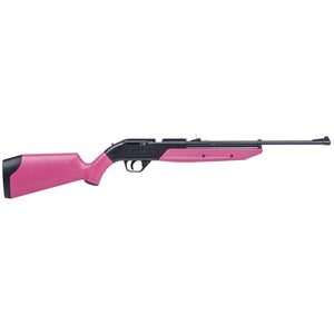 Crosman 760 Pumpmaster