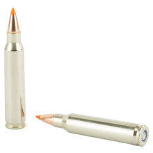 Load image into Gallery viewer, Fed Prm 223rem 55gr Blstc Tip 20-200