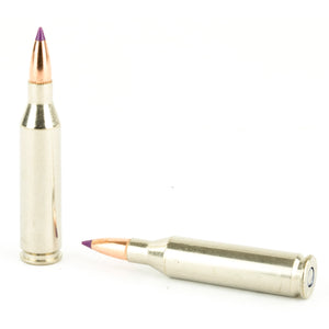 Fed Prm 243win 55gr Nbt 20-200