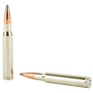 Fed Prm 3006 180gr Np 20-200