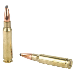 Hrndy Aw 308win 165gr Int 20-200