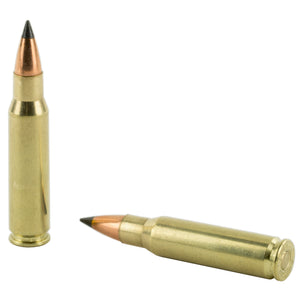 Nosler Vg 308win 110gr Fb Tip 20-200