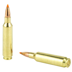 Nosler 22nos 55gr Bt 20-200