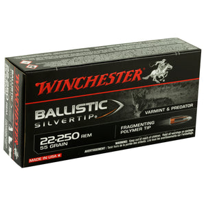 Win Blstc Tip 22-250 55gr 20-200