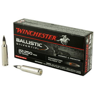 Win Blstc Tip 22-250 55gr 20-200