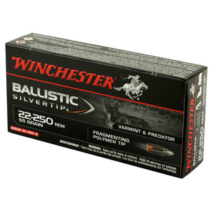 Win Blstc Tip 22-250 55gr 20-200