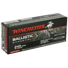 Load image into Gallery viewer, Win Blstc Tip 243win 95gr 20-200