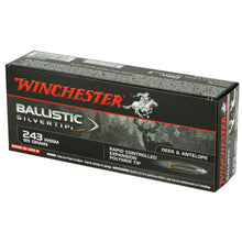 Load image into Gallery viewer, Win Blstc Tip 243win 95gr 20-200